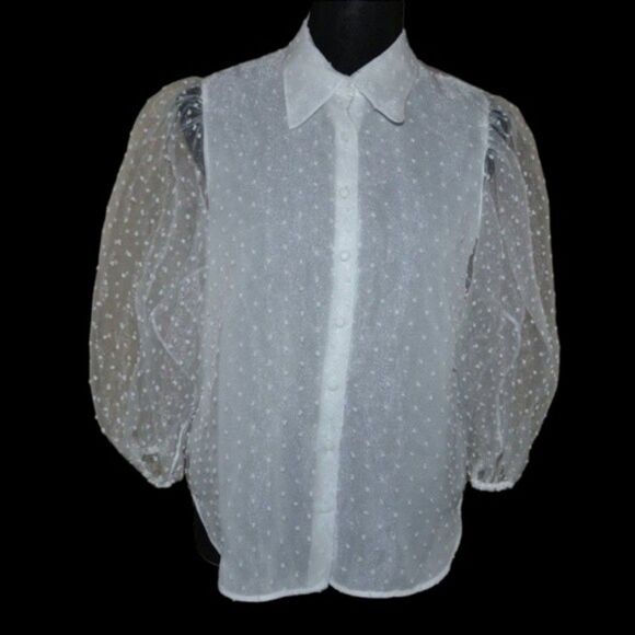 Zara Sheer Swiss Dot Balloon Sleeve Top - Picture 1 of 7